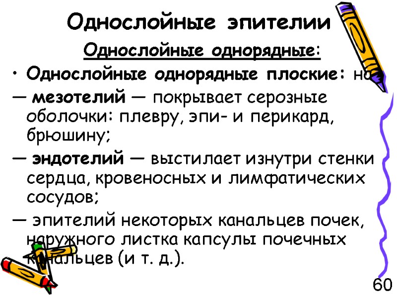 Однослойные эпителии Однослойные однорядные:  Однослойные однорядные плоские: на — мезотелий — покрывает серозные